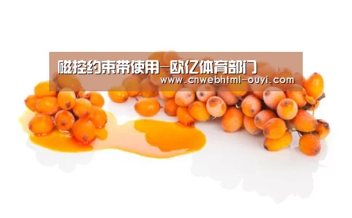 磁控约束带使用-欧亿体育部门(图2) 欧亿体育公司