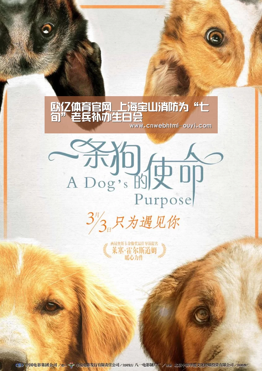 欧亿体育官网_上海宝山消防为“七旬”老兵补办生日会(图3) 欧亿体育官网