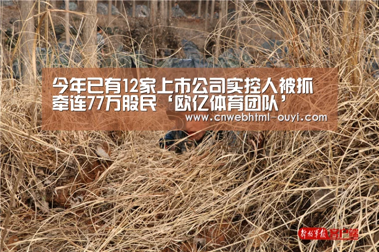 欧亿体育部门