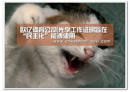 欧亿体育公司|光学工作证明旨在“民主化”能源使用(图1) 欧亿体育部门
