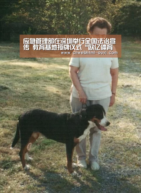 欧亿体育部门