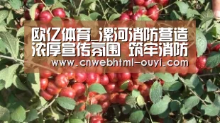 欧亿体育部门