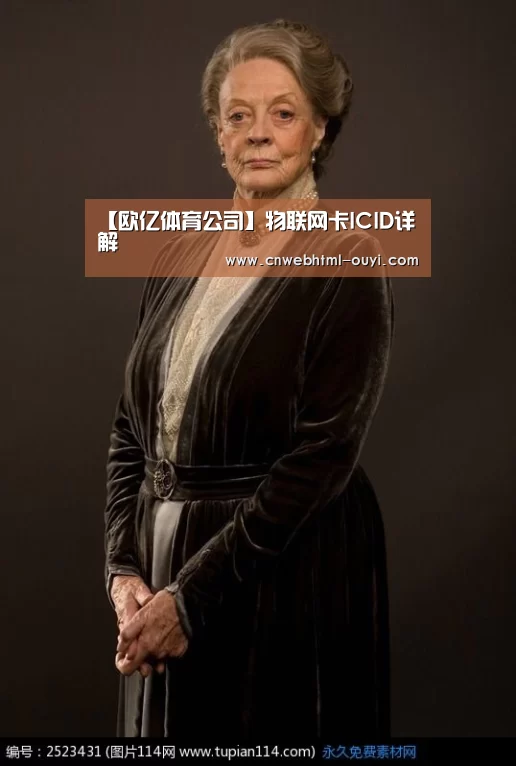 【欧亿体育公司】物联网卡ICID详解(图2) 欧亿体育