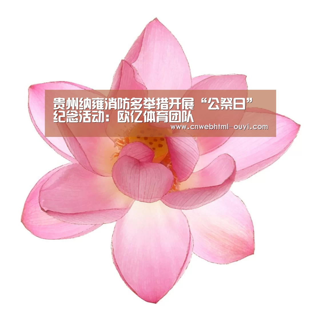 贵州纳雍消防多举措开展“公祭日”纪念活动:欧亿体育团队(图1) 欧亿体育公司
